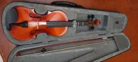 Violon eastar