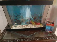 Aquarium 
