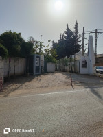 niveau-de-villa-location-f04-alger-birkhadem-algerie