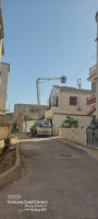 nettoyage-jardinage-location-camion-nacelle-bir-mourad-rais-alger-algerie