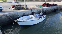 bateaux-barques-bejmar-520m-avec-moteur-mariner-40-ch-2014-bejaia-algerie
