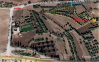 Vente Terrain Agricole Tlemcen Oued chouli