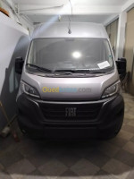 automobiles-fiat-professional-ducato-2023-ain-defla-algerie