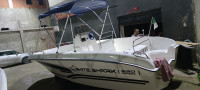 bateaux-barques-beneteau-white-shark-630-2024-annaba-algerie