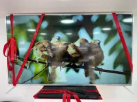 Tv telestar 75 pouces