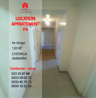 appartement-location-f4-alger-cheraga-algerie