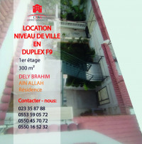 niveau-de-villa-location-f9-alger-dely-brahim-algerie