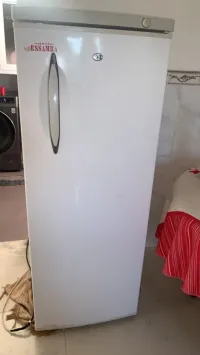 Congélateur ESSAMRA 300L