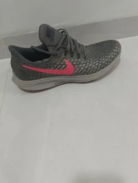 Nike zoom pegasus 35