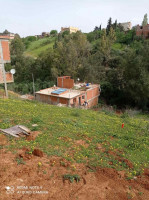 terrain-vente-alger-douera-algerie