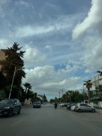 أرض-بيع-البليدة-الجزائر