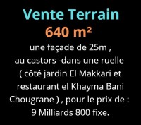 terrain-vente-oran-algerie