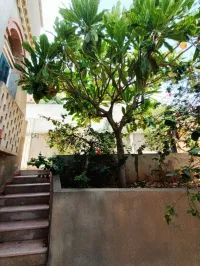 Location Villa Oran Ain el turck