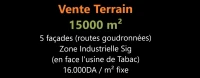 Vente Terrain Mascara Sig