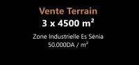 terrain-vente-oran-es-senia-algerie