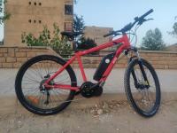 autre-easybike-velo-electrique-2021-theniet-el-had-tissemsilt-algerie