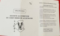 كلب-chien-berger-allemand-الرويبة-الجزائر