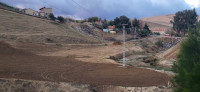 terrain-vente-ain-defla-el-abadia-algerie