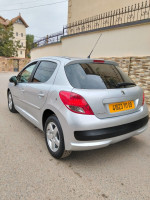 voitures-peugeot-207-2011-fennec-blida-algerie