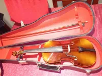 Violon 