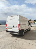 fourgon-fiat-ducato-2-panneaux-2024-ain-el-hammam-tizi-ouzou-algerie