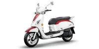 Sym Fiddle 3 2022