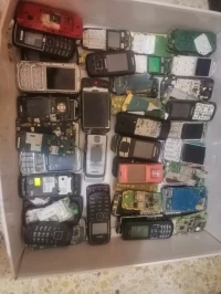 Nokia 3100