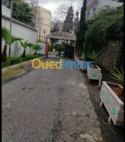 appartement-location-f3-alger-el-biar-algerie