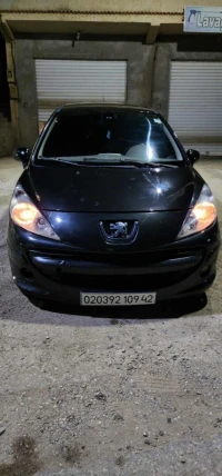 Peugeot 207 2009 Premium