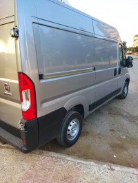 utilitaire-fiat-ducato-2024-l2h2-boumerdes-algerie