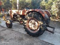 tractors-cirta-1982-les-eucalyptus-alger-algeria