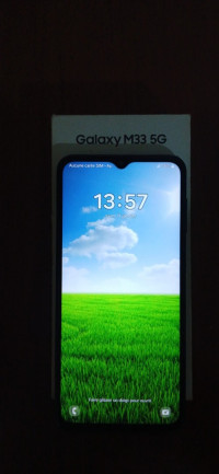 smartphones-samsung-m33-5g-les-eucalyptus-alger-algerie