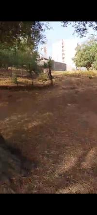 terrain-vente-tizi-ouzou-mekla-algerie