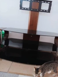 Table tv