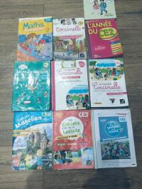 Livre, manuels scolaires CE1, CE2 et terminal