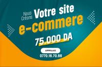 applications-logiciels-site-e-commerce-professionnel-bab-ezzouar-alger-algerie