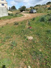 terrain-vente-constantine-algerie