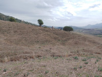 terrain-vente-tizi-ouzou-ouadhia-algerie