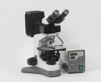 MICROSCOPE A FLUORESCENCE DAFFODIL 