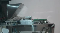 Dresseuse machine de madeleine et gâteau sec