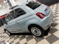 voitures-fiat-500-2024-club-staoueli-alger-algerie