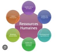 إدارة-و-تسيير-freelance-grh-drh-بئر-توتة-الجزائر