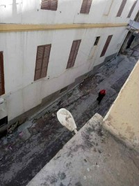 شقة-بيع-غرفتين-قسنطينة-الجزائر