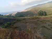 terrain-vente-bejaia-beni-ksila-algerie