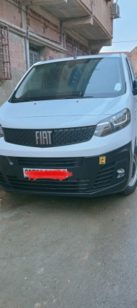 voitures-fiat-scudo-2023-frenda-tiaret-algerie