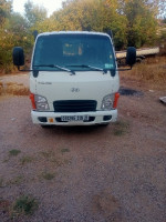 camion-hyundai-hd35-2019-tamalous-skikda-algerie