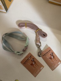 أكسسوارات-للحيوانات-laisse-et-collier-pour-chien-المدنية-الجزائر