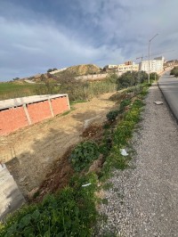 terrain-vente-tlemcen-chetouane-algerie