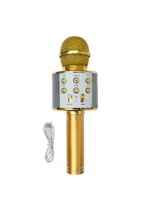 Micro enceinte