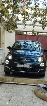 voitures-fiat-500-2023-club-annaba-algerie